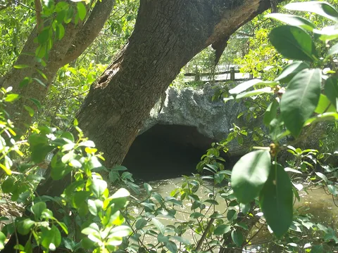 Arch Creek Park: the grounds