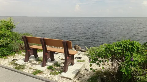 Biscayne National Park: the grounds