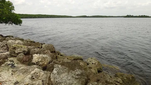 Biscayne National Park: the water