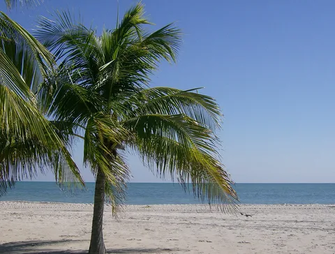 Crandon Park: the grounds