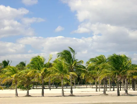 Crandon Park: the grounds