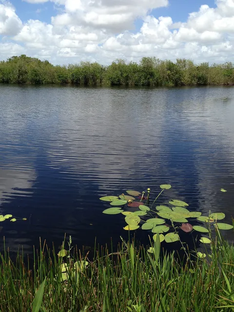 Everglades National Park: Anhinga Trail: the water