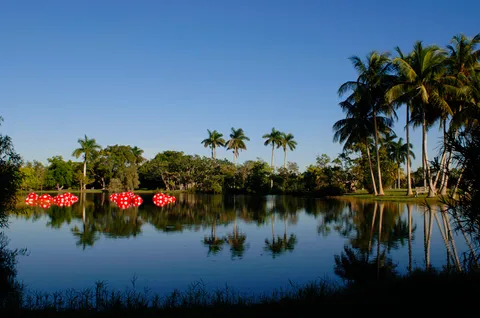 Fairchild Tropical Botanic Garden: the grounds