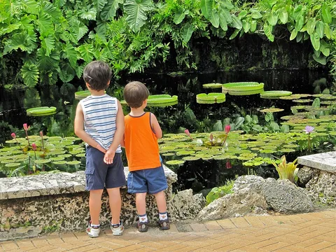 Fruit and Spice Park: the garden