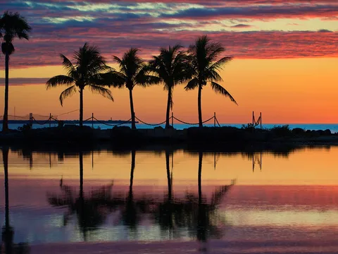 Matheson Hammock Park: the grounds