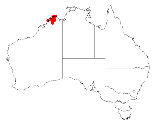 Acacia areolata: Acacia areolata occurrence data from AVH from https://doi.org/10.26197/5c0b1388984eb on 8 December 2018