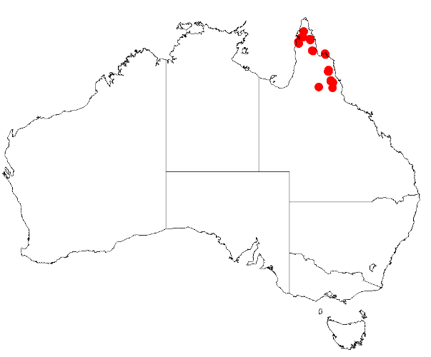 Acacia armillata: Acacia armillata Occurrence data from Australasia Virtual Herbarium downloaded from https://doi.org/10.26197/5c0b1388984eb on 8 December 2018