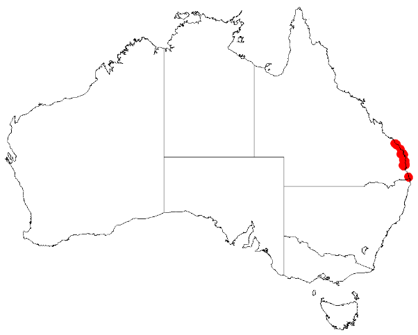 Acacia attenuata: Acacia attenuata Occurrence data from Australasia Virtual Herbarium downloaded from https://doi.org/10.26197/5c0b1388984eb on 8 December 2018