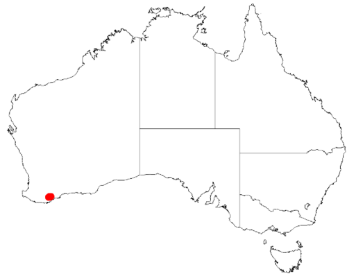 Stirling range wattle: Acacia awestoniana Occurrence data from Australasia Virtual Herbarium downloaded from https://doi.org/10.26197/5c0b1388984eb on 8 December 2018