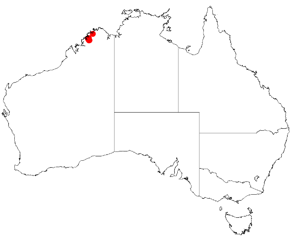 Acacia barrettiorum: Acacia barrettiorum Occurrence data from Australasia Virtual Herbarium downloaded from https://doi.org/10.26197/5c0b1388984eb on 8 December 2018