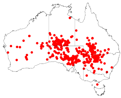Turpentine mulga: Acacia brachystachya occurrence data map from AVH downloaded from https://doi.org/10.26197/5c0b1388984eb on 8 December 2018