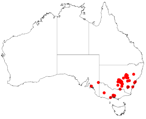Wyalong wattle: Acacia cardiophylla Occurrence data from Australasia Virtual Herbarium downloaded from https://doi.org/10.26197/5c0b1388984eb on 8 December 2018