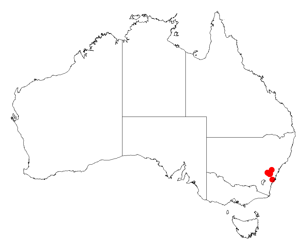Acacia chalkeri: Acacia chalkeri occurrence data from Australasian Virtual Herbarium downloaded from https://doi.org/10.26197/5c06138894b on December 8 2018