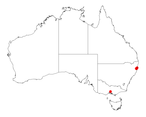 Bellinger river wattle: Acacia chrysotricha occurrence data from Australasian Virtual Herbarium downloaded from https://doi.org/10.26197/5c06138894b on December 8 2018