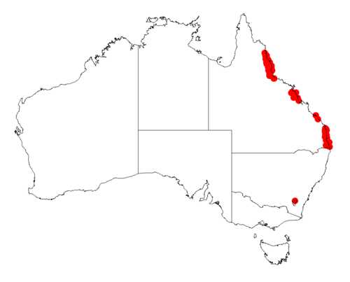 Acacia cincinnata: Acacia cincinnata occurrence data from Australasian Virtual Herbarium downloaded from https://doi.org/10.26197/5c06138894b on December 8 2018