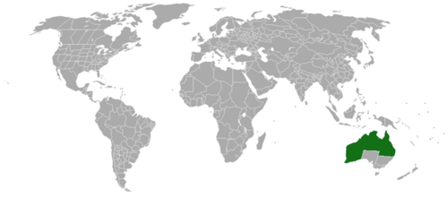 Acacia colei: Acacia colei range map created with a blank map from the Commons, info from ILDIS LegumeWeb and the GIMP.