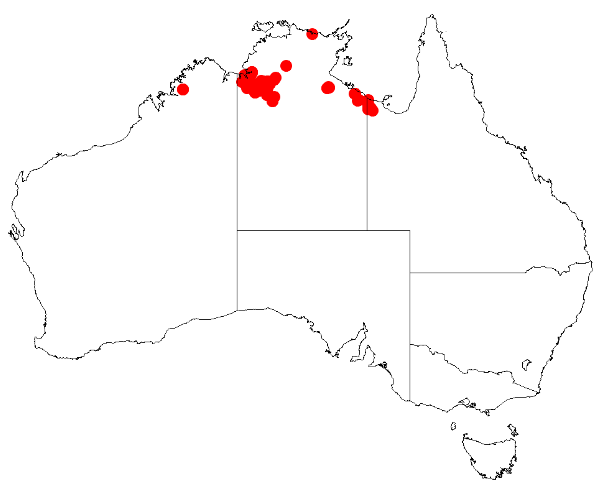 Acacia conjunctifolia: Acacia conjunctifolia Occurrence data from Australasia Virtual Herbarium downloaded from https://doi.org/10.26197/5c0b1388984eb on 8 December 2018