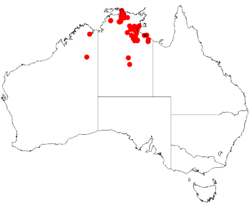 Acacia conspersa: Acacia conspersa Occurrence data from Australasia Virtual Herbarium downloaded from https://doi.org/10.26197/5c0b1388984eb on 8 December 2018