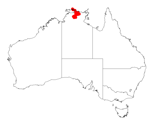 Acacia convallium: Acacia convallium occurrence data from Australasian Virtual Herbarium downloaded from https://doi.org/10.26197/5c06138894b on December 8 2018