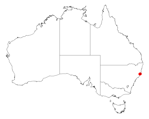 Acacia courtii: Acacia courtii occurrence data from Australasian Virtual Herbarium downloaded from https://doi.org/10.26197/5c06138894b on December 8 2018