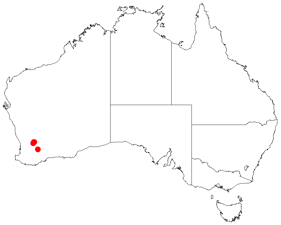 Acacia cowaniana: Acacia cowaniana occurrence data from Australasian Virtual Herbarium downloaded from https://doi.org/10.26197/5c06138894b on December 8 2018