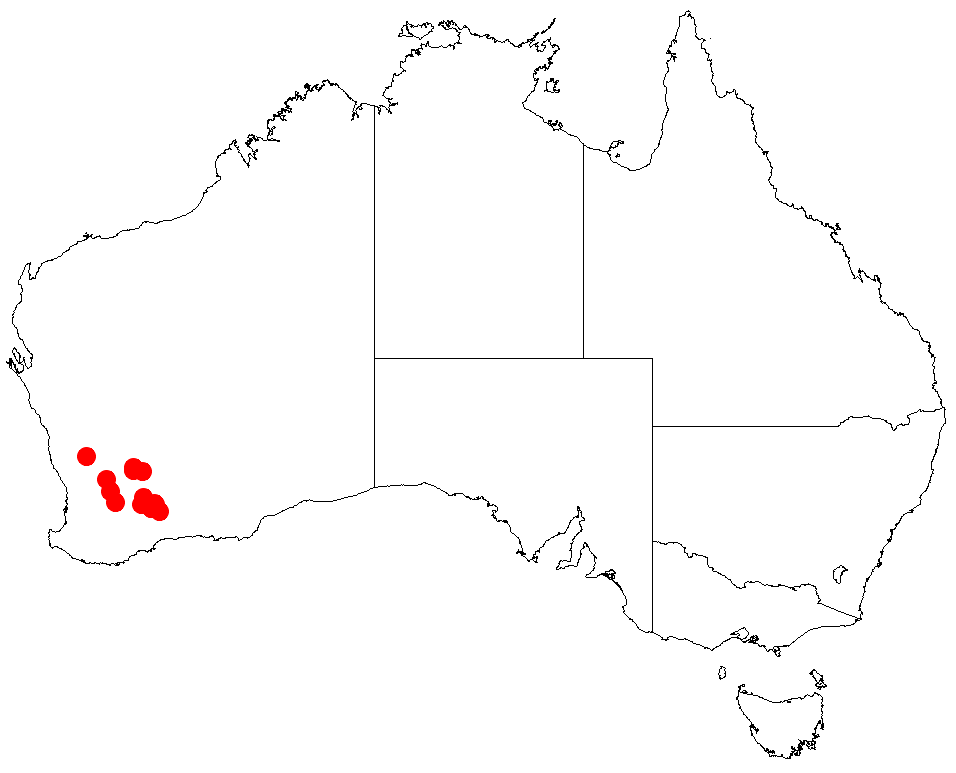 Acacia cracentis: Acacia cracentis occurrence data from Australasian Virtual Herbarium downloaded from https://doi.org/10.26197/5c06138894b on December 8 2018