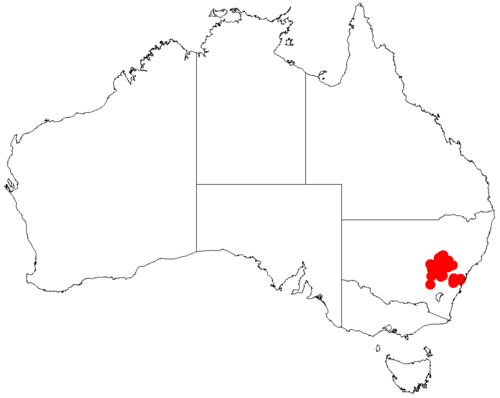 Acacia cremiflora: Acacia cremiflora occurrence data from Australasian Virtual Herbarium downloaded from https://doi.org/10.26197/5c06138894b on December 8 2018