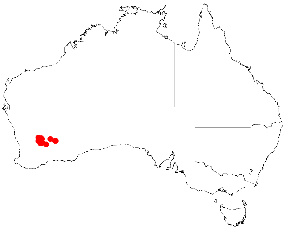 Acacia crenulata: Acacia crenulata occurrence data from Australasian Virtual Herbarium downloaded from https://doi.org/10.26197/5c06138894b on December 8 2018