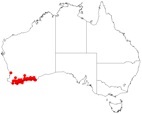 Acacia crispula: Acacia crispula occurrence data from Australasian Virtual Herbarium downloaded from https://doi.org/10.26197/5c06138894b on December 8 2018