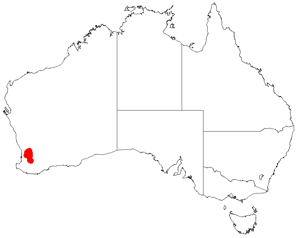 Acacia cuneifolia: Acacia cuneifolia occurrence data from Australasian Virtual Herbarium downloaded from https://doi.org/10.26197/5c06138894b on December 8 2018