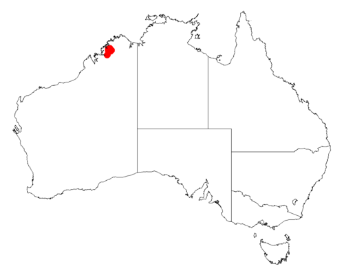 Acacia cyclocarpa: Acacia cyclocarpa occurrence data from Australasian Virtual Herbarium downloaded from https://doi.org/10.26197/5c06138894b on December 8 2018