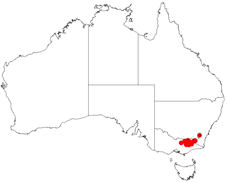 Acacia dallachiana: Acacia dallachiana occurrence data from Australasian Virtual Herbarium downloaded from https://doi.org/10.26197/5c0b1388984eb on 8 December 2018