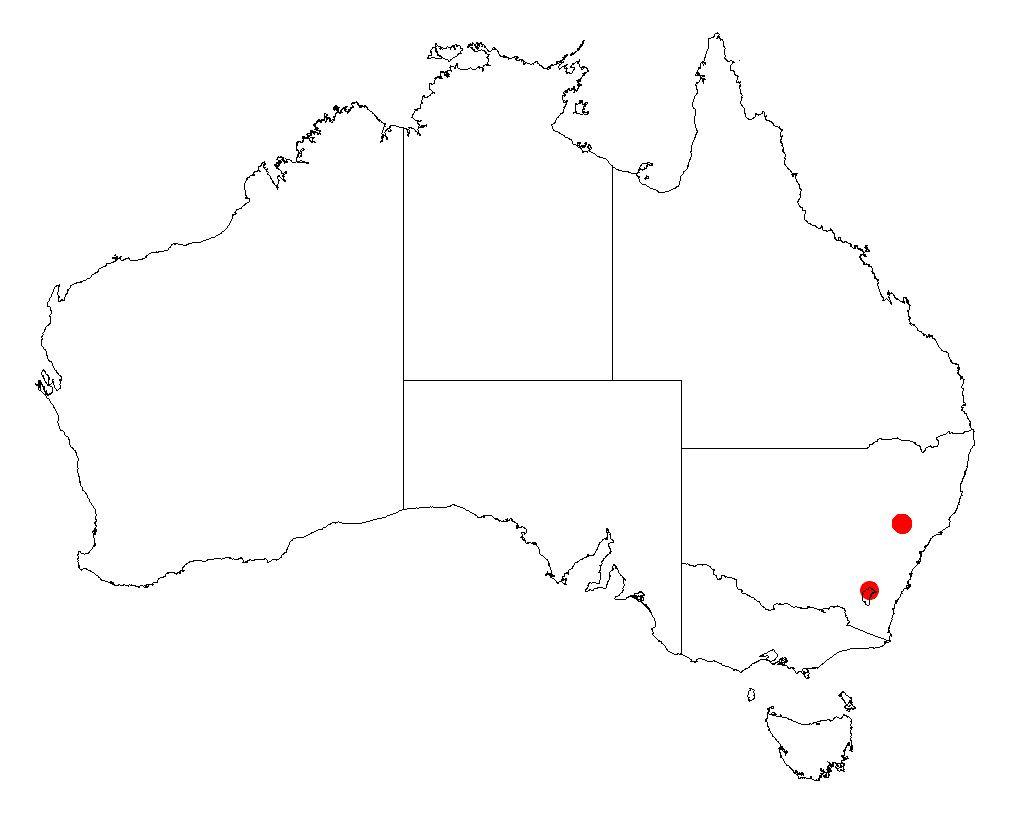 Acacia dangarensis: Acacia dangarensis occurrence data from Australasian Virtual Herbarium downloaded from https://doi.org/10.26197/5c0b1388984eb on 8 December 2018