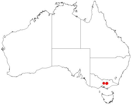 Acacia daviesii: Acacia daviesii occurrence data from Australasian Virtual Herbarium downloaded from https://doi.org/10.26197/5c0b1388984eb on 8 December 2018