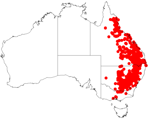 Graceful wattle: Acacia decora occurrence data from Australasian Virtual Herbarium downloaded from https://doi.org/10.26197/5c0b1388984eb on 8 December 2018