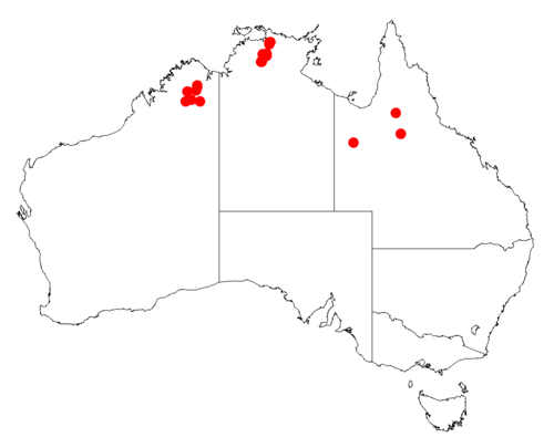 Acacia delicatula: Acacia delicatula occurrence data from Australasian Virtual Herbarium downloaded from https://doi.org/10.26197/5c0b1388984eb on 8 December 2018