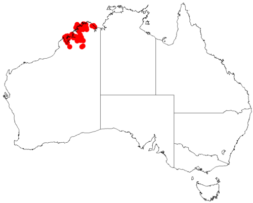 Acacia deltoidea: Acacia deltoidea occurrence data from Australasian Virtual Herbarium downloaded from https://doi.org/10.26197/5c0b1388984eb on 8 December 2018
