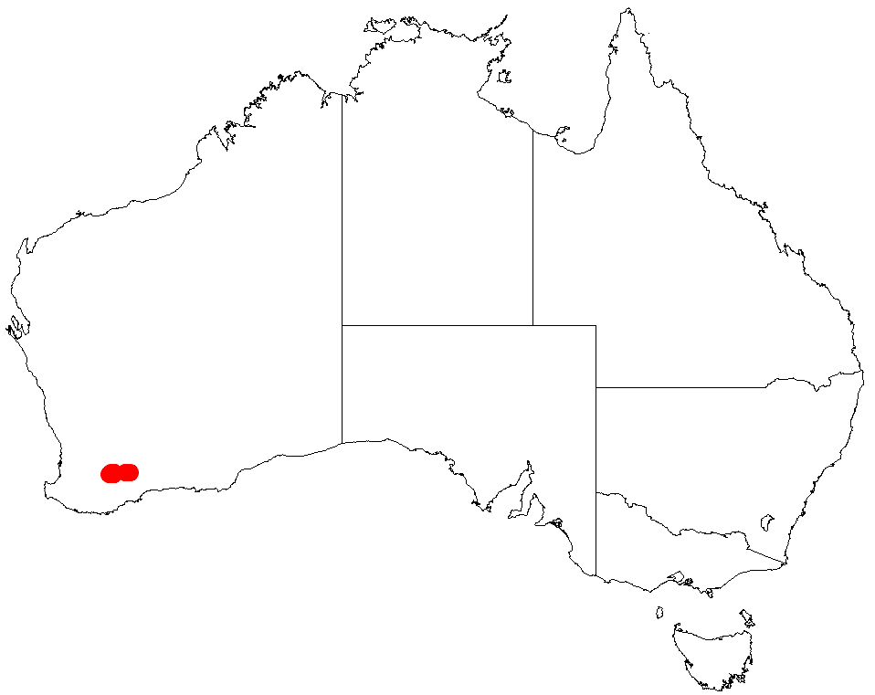 Acacia depressa: Acacia depressa occurrence data from Australasian Virtual Herbarium downloaded from https://doi.org/10.26197/5c0b1388984eb on 8 December 2018