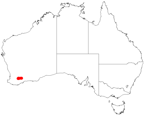 Acacia depressa: Acacia depressa occurrence data from Australasian Virtual Herbarium downloaded from https://doi.org/10.26197/5c0b1388984eb on 8 December 2018