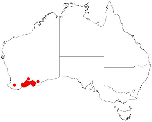 Acacia dermatophylla: Acacia dermatophylla occurrence data from Australasian Virtual Herbarium downloaded from https://doi.org/10.26197/5c0b1388984eb on 8 December 2018