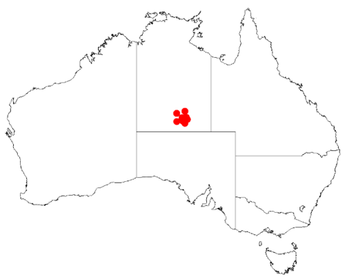 Acacia desmondii: Acacia desmondii Occurrence data from Australasian Virtual Herbarium downloaded from https://doi.org/10.26197/5c0b1388984eb on 8 December 2018