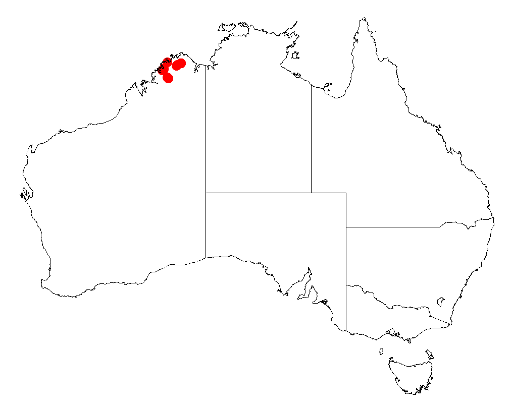 Acacia diastemata: Acacia diastemata occurrence data from Australasian Virtual Herbarium downloaded from https://doi.org/10.26197/5c0b1388984eb on 8 December 2018