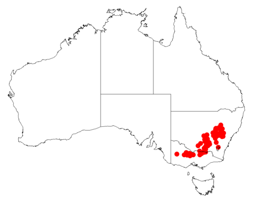 Drooping wattle: Acacia difformis occurrence data from Australasian Virtual Herbarium downloaded from https://doi.org/10.26197/5c0b1388984eb on 8 December 2018