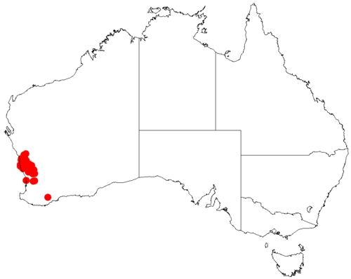 Acacia dilatata: Acacia dilatata occurrence data from Australasian Virtual Herbarium downloaded from https://doi.org/10.26197/5c0b1388984eb on 8 December 2018