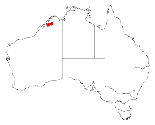 Acacia dimorpha: Acacia dimorpha occurrence data from Australasian Virtual Herbarium downloaded from https://doi.org/10.26197/5c0b1388984eb on 8 December 2018