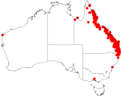 Acacia disparrima: Acacia disparrima occurrence data from Australasian Virtual Herbarium downloaded from https://doi.org/10.26197/5c0b1388984eb on 8 December 2018