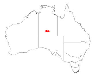 Acacia dolichophylla: Acacia dolichophylla occurrence data from Australasian Virtual Herbarium downloaded from https://doi.org/10.26197/5c0b1388984eb on 8 December 2018