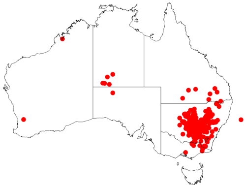 Spearwood: Acacia doratoxylonoccurrence data from Australasian Virtual Herbarium downloaded from https://doi.org/10.26197/5c0b1388984eb on 8 December 2018