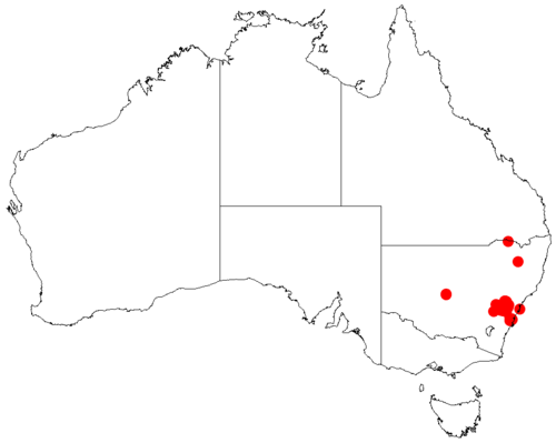 Acacia dorothea: Acacia dorothea occurrence data from Australasian Virtual Herbarium downloaded from https://doi.org/10.26197/5c0b1388984eb on 8 December 2018