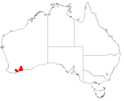 Acacia durabilis: Acacia durabilis occurrence data from Australasian Virtual Herbarium downloaded from https://doi.org/10.26197/5c0b1388984eb on 8 December 2018